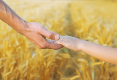 Çocuk ve babası buğday tarlasında. Seçici odak.