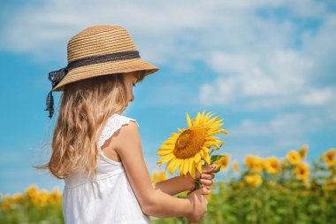 Ayçiçeği tarlasında ki bir çocuk. Seçici odaklama.