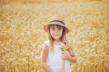 Buğday tarlasında bir çocuk. Seçici odak.