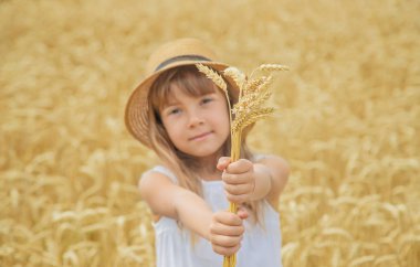 Buğday tarlasında bir çocuk. Seçici odak.
