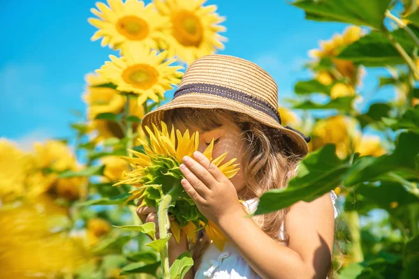 Un niño en un campo de girasoles. Enfoque selectivo . —  Fotos de Stock