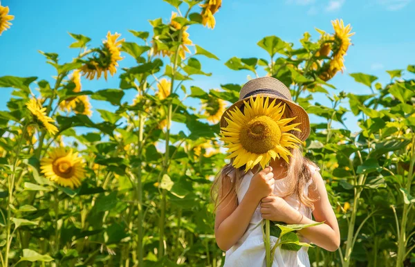 Un niño en un campo de girasoles. Enfoque selectivo . —  Fotos de Stock