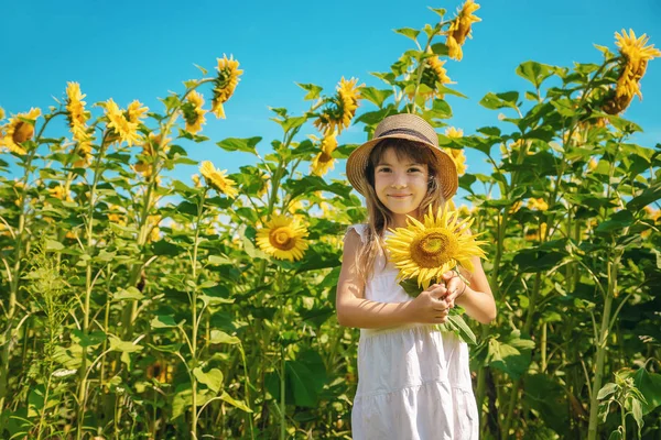 Un enfant dans un champ de tournesols. Concentration sélective . — Photo