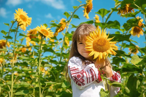 Un niño en un campo de girasoles con una camisa bordada. Ucraniano. Enfoque selectivo . — Foto de Stock