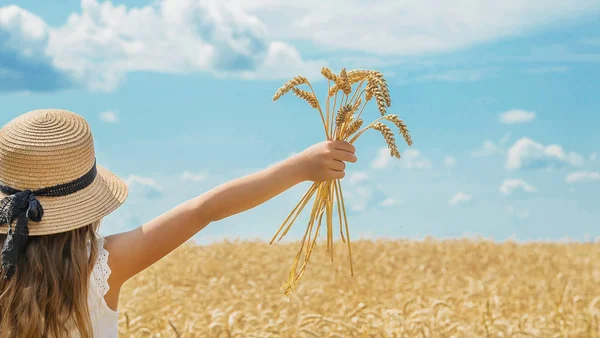 Dítě v pšeničném poli. Selektivní zaměření. — Stock fotografie