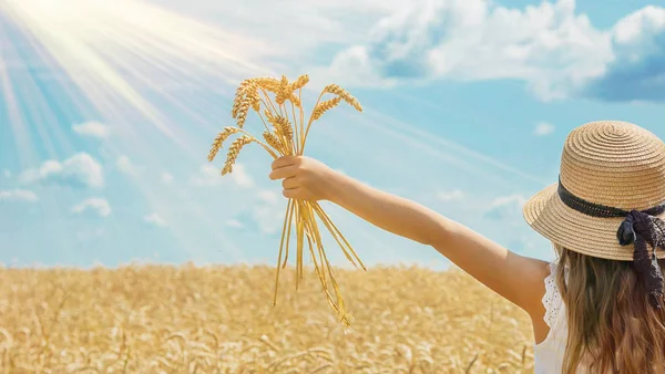 Ребенок на пшеничном поле. Селективный фокус . — стоковое фото