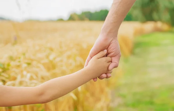 Bambino e padre in un campo di grano. Focus selettivo. — Foto Stock
