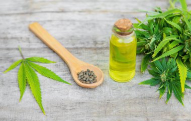 Küçük bir şişede kenevir yağı. Seçici odaklama.