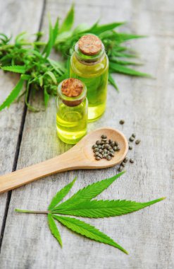 Küçük bir şişede kenevir yağı. Seçici odaklama.