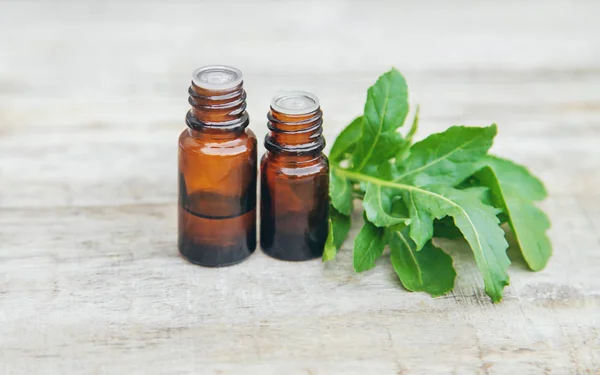 Rucola olie in een kleine fles. Selectieve focus. — Stockfoto