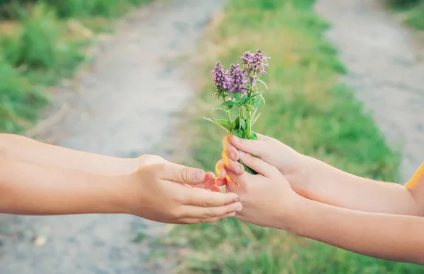 子供たちは花と手をつないでいる。選択フォーカス. — ストック写真