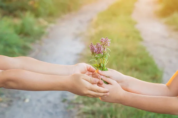 Children hold hands together with flowers. Selective focus. — Stock Photo, Image