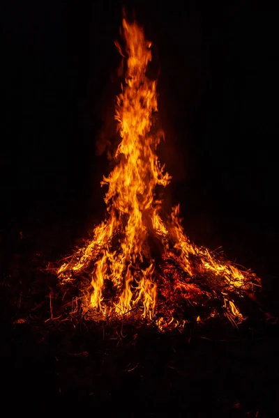 Big bonfire, grass fire burn. Selective focus. — Stock Photo, Image
