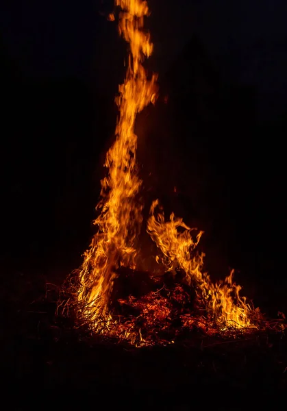 Grande fogueira, fogo de relva queimado. Foco seletivo . — Fotografia de Stock