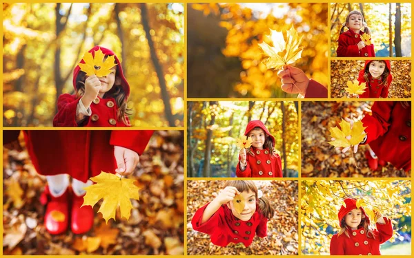 Kolaj ve sonbahar çocuk fotoğrafları. Seçici odaklama.