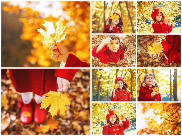Kolaj ve sonbahar çocuk fotoğrafları. Seçici odaklama.