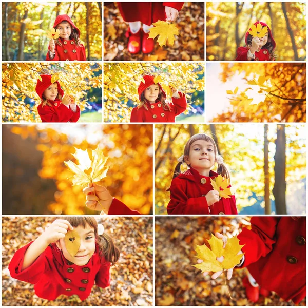 Kolaj ve sonbahar çocuk fotoğrafları. Seçici odaklama.