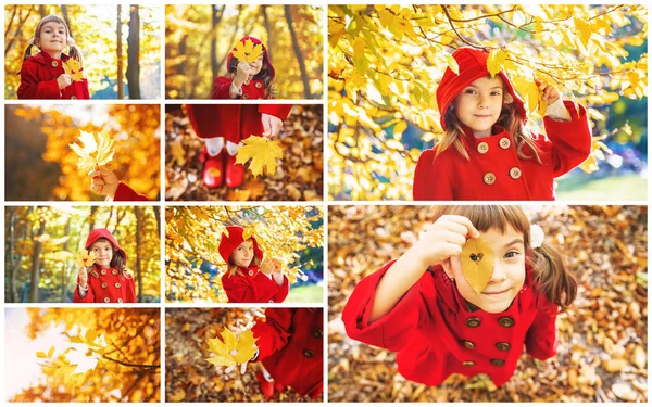 Kolaj ve sonbahar çocuk fotoğrafları. Seçici odaklama.
