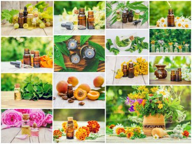 Otlar özleri farklı resimlerin Kolaj. Homeopati. Seçici odaklama.