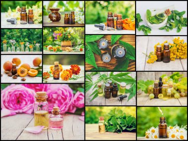 Otlar özleri farklı resimlerin Kolaj. Homeopati. Seçici odaklama.