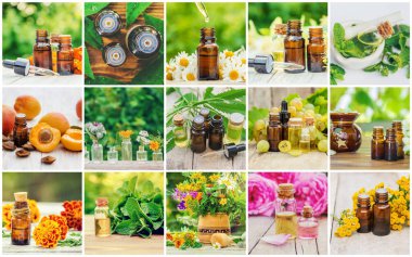 Otlar özleri farklı resimlerin Kolaj. Homeopati. Seçici odaklama.