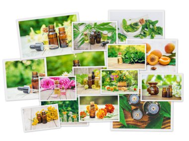 Otlar özleri farklı resimlerin Kolaj. Homeopati. Seçici odaklama.