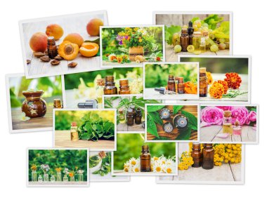 Otlar özleri farklı resimlerin Kolaj. Homeopati. Seçici odaklama.