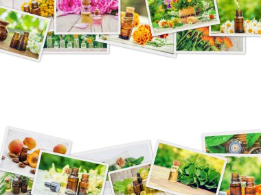 Otlar özleri farklı resimlerin Kolaj. Homeopati. Seçici odaklama.