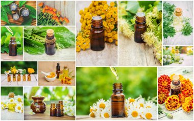 Otlar özleri farklı resimlerin Kolaj. Homeopati. Seçici odaklama.