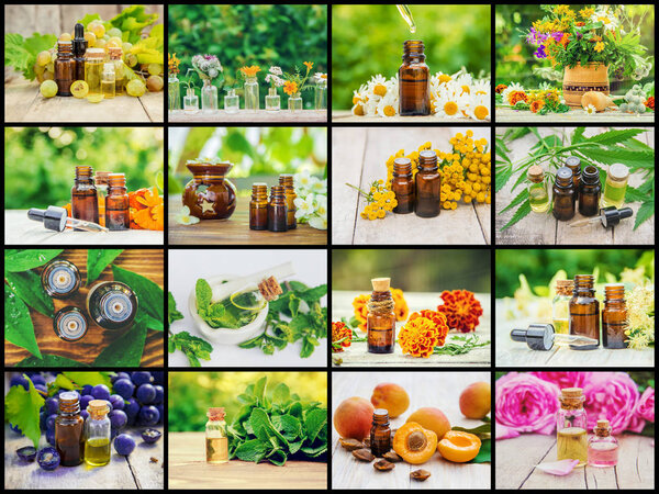 Collage of different pictures of extracts of herbs. Homeopathy. Selective focus.
