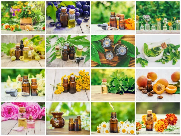 Otlar özleri farklı resimlerin Kolaj. Homeopati. Seçici odaklama.