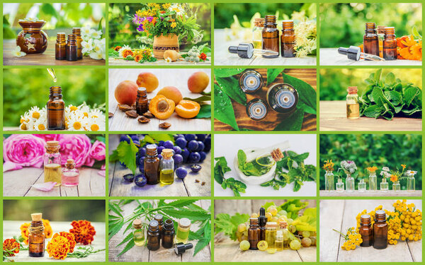 Collage of different pictures of extracts of herbs. Homeopathy. Selective focus.