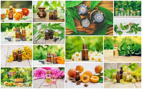 Collage of different pictures of extracts of herbs. Homeopathy. Selective focus. — Stock Photo, Image