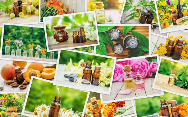 Otlar özleri farklı resimlerin Kolaj. Homeopati. Seçici odaklama.