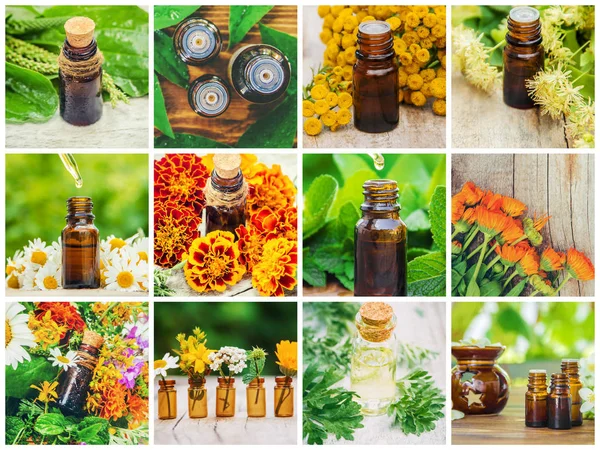 Koláž různých obrázků extraktů z bylin. Homeopatie. Selektivní zaměření. — Stock fotografie