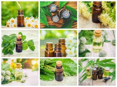 Otlar özleri farklı resimlerin Kolaj. Homeopati. Seçici odaklama.
