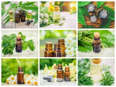 Otlar özleri farklı resimlerin Kolaj. Homeopati. Seçici odaklama.