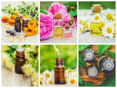 Otlar özleri farklı resimlerin Kolaj. Homeopati. Seçici odaklama.