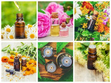 Otlar özleri farklı resimlerin Kolaj. Homeopati. Seçici odaklama.