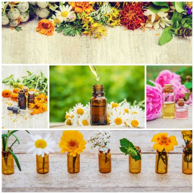 Otlar özleri farklı resimlerin Kolaj. Homeopati. Seçici odaklama.