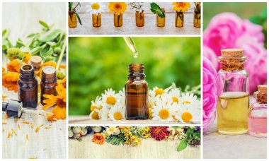 Otlar özleri farklı resimlerin Kolaj. Homeopati. Seçici odaklama.