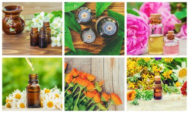 Otlar özleri farklı resimlerin Kolaj. Homeopati. Seçici odaklama.