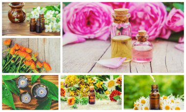 Otlar özleri farklı resimlerin Kolaj. Homeopati. Seçici odaklama.