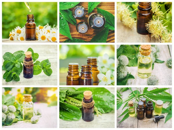 Otlar özleri farklı resimlerin Kolaj. Homeopati. Seçici odaklama.
