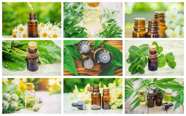 Kolaż różnych zdjęć z ekstraktów z ziół. Homeopatia. Selektywna koncentracja. — Zdjęcie stockowe