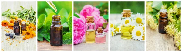 Collage of different pictures of extracts of herbs. Homeopathy. Selective focus. — Stock Photo, Image