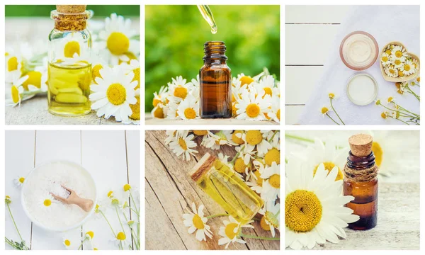 Collage de diferentes imágenes de extractos de flores de manzanilla. Homeopatía. Enfoque selectivo . — Foto de Stock