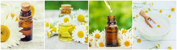 Collage de diferentes imágenes de extractos de flores de manzanilla. Homeopatía. Enfoque selectivo . — Foto de Stock