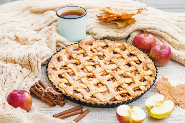 Tarta con manzanas y canela. Enfoque selectivo . — Foto de Stock