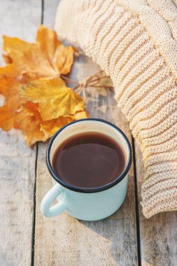 Güzel sonbahar arka plan. Merhaba Autumn. Seçici odaklama.